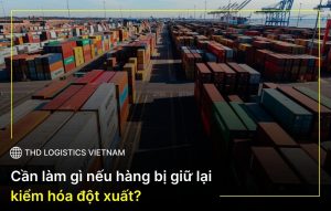 hàng bị giữ đột xuất
