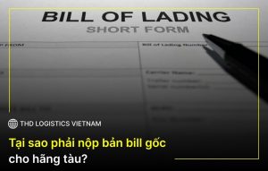bill gốc