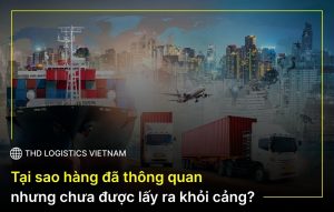 Lấy hàng đã thông quan khỏi cảng?