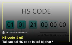 HS Code